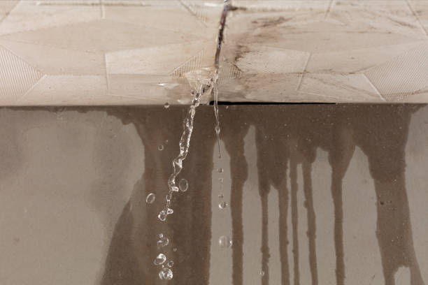 Professional Burst Pipe Cleanup technician working in Anderson, IN